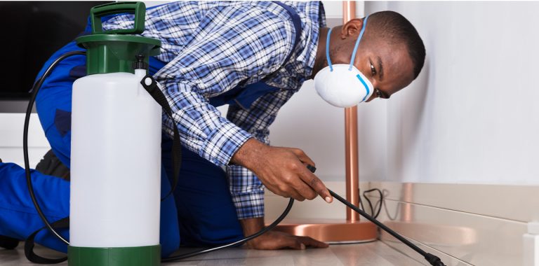 Baseboard residual insecticide application