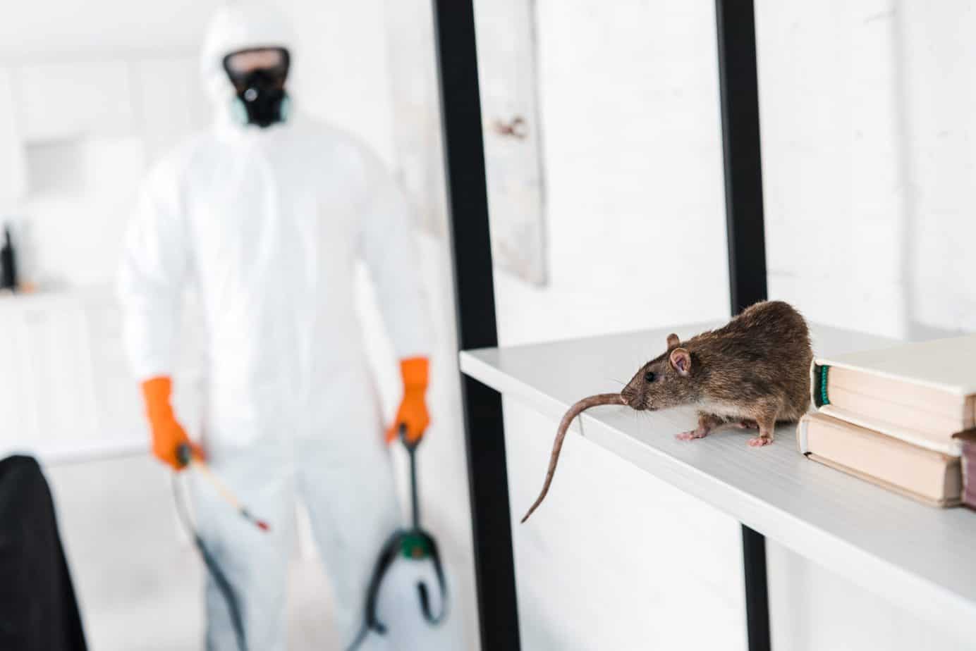 Rodent control technician with backpack sprayer