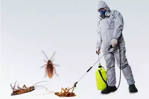 Tembisa pest control technician