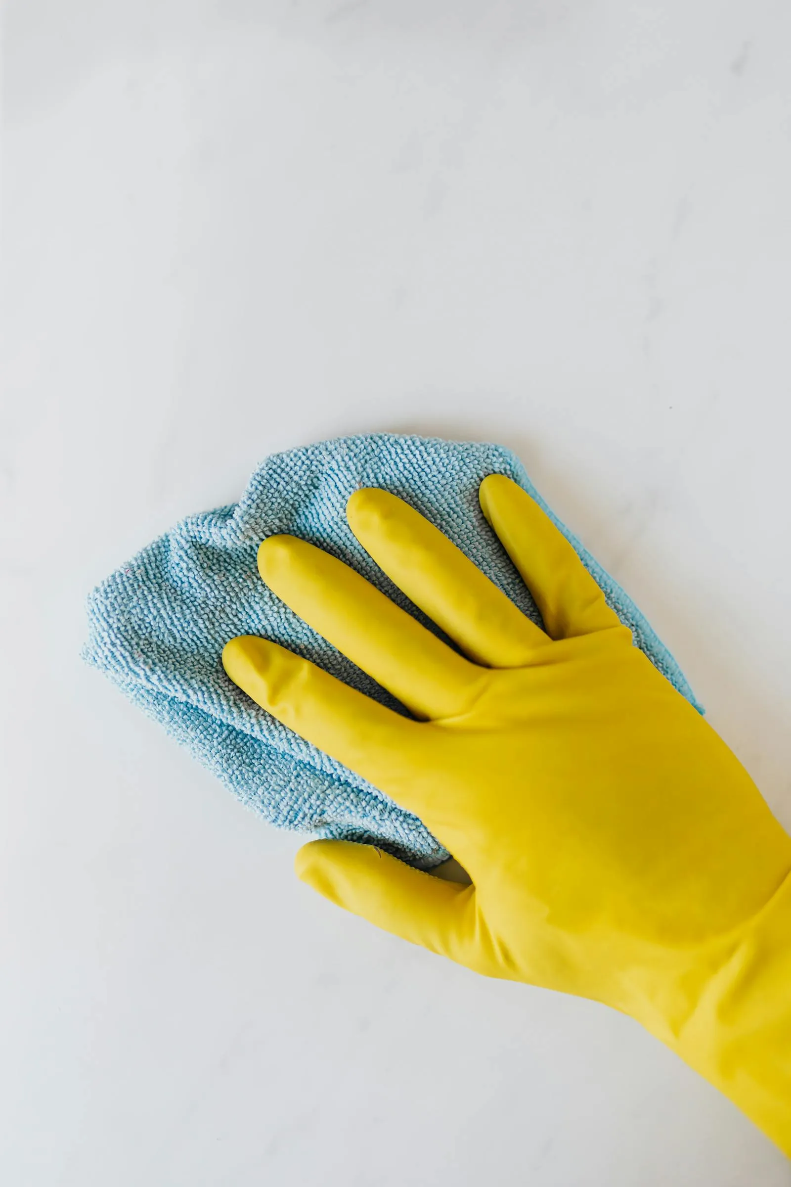 Window Cleaning in Birchleigh